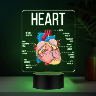 3D Illusion Anatomical Heart Diagram LED Lamp with 7 Color Changing Light Gift for Medical & Science Student Home, Clinic, Hospital & Study Desk Table Decor
